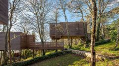 Los alojamientos se levantan sobre estructuras de madera para respetar las ra�ces de los �rboles