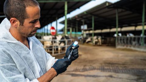 La partida del ministerio quiere ayudar a combatir enfermedades como la dermatosis