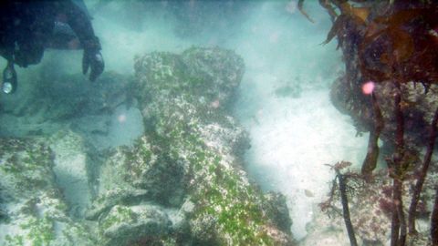 
Remains of a sunken ship in the Cee e Corcubin estuary