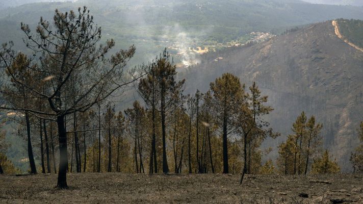 Imagen de archivo de un incendio en Galicia