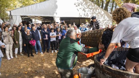 La localidad celebr� su cuarta Festa da Vendima.