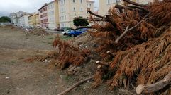 Franja de terreno que fue desbrozada y utilizada para acopiar el material resultante de la limpieza de las m�rgenes.