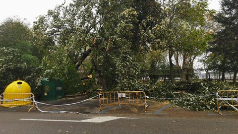 Los daos causados por el temporal de viento Amelieen Avils