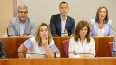Pleno extraordinario por el caso Saltamontes en Vigo