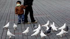 Un ni�o mira a las palomas en un parque p�blico de Shanghai