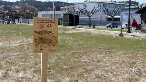 La playa de Coroso, en Ribeira, es un punto habitual de anidamiento de p�llara.
