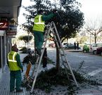 El contrato de jardines se mantiene paralizado tras la denuncia del Partido Popular. 