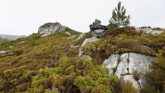 Vista del �rea de Pena Grande, situada en la parroquia de Santaballa 