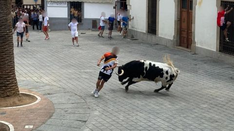 El toro, por las calles de la localidad, antes de morir por recibir dos disparos de escopeta.