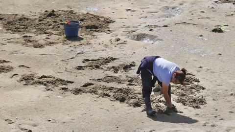 Marisqueo a pie en Arousa