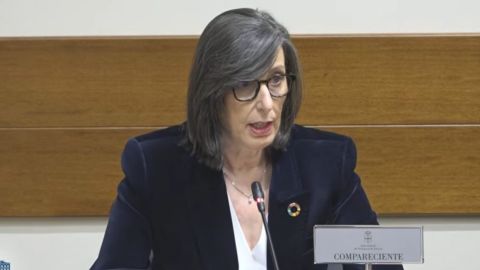 Nieves Roque�� en la comisi�n de investigaci�n de Cerredo