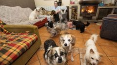 Color Esperanza, de Coristanco, da cobijo a casi medio centenar de canes: un repaso en fotos