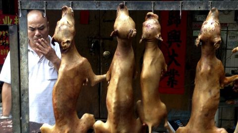 Un vendedor de carne de perro. 