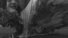 �Looking for Bill Viola�