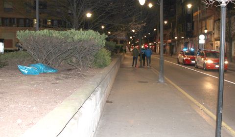 Una bolsa con los restos del jabal�, en la avenida Schulz