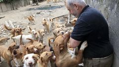 El due�o de los perros no quiere entregar ninguno m�s a la Polic�a Local