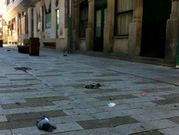 A�n no se saben la causas de la muerte masiva de palomas.