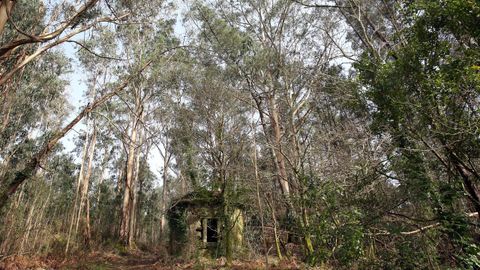 Un recorrido por la aldea abandonada de Mato, en Noia.El palomar que da la bienvenida a la aldea