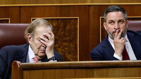 Fracasa la moci�n de censura de Vox