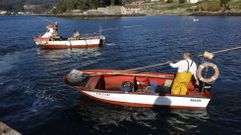 Embarcaciones del marisqueo a flote regresando a la lonja de Campelo despus de un da de trabajo