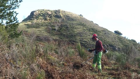 Trabajos de desbroce en la microrreserva de orqu�deas silvestres de H�rreos, la mayor de las cinco que existen el el municipio de Folgoso do Courel