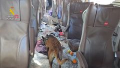 Un perro de la Guardia Civil en el interior de uno de los vagones siniestrados