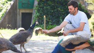 Nicol�s Aneiros este lunes dando de comer a los pavos del parque Reina Sof�a, en Ferrol.
