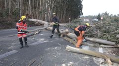 Cuerpos y fuerzas de seguridad y emergencias trabajaron a destajo el jueves para resolver todo tipo de incidencias por el temporal de viento