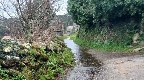 Estado actual del camino forestal