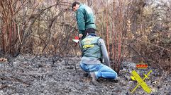 Agentes del Seprona investigan un incendio.Agentes del Seprona investigan un incendio