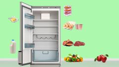 Cada alimento deber�a de ir en cada una de esas baldas.