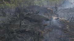 Foto de un incendio anterior al mencionado en Vimianzo