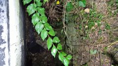 Hueco por el que se precipit� el menor de edad