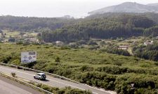 Terrenos afectados por el proceso de concentraci�n parcelaria de Ferrol. 