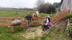 Os mecos do Baladi�o