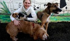 Daniela Fischer, lleg� ayer al refugio de animales de Cambados para llevarse a Alemania cuatro perras �de las que nadie quiere�.