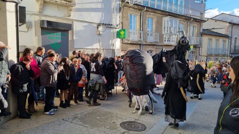 Viana acoge la mayor mascarada de la Pennsula Ibrica.Miles de personas disfrutaron del desfile de Viana.