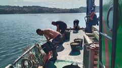 Siembra de cr�a de almeja realizada el a�o pasado en la r�a de Pontevedra