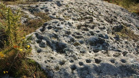 Petroglifos en forma de cazoleta o covia en la Cima de Pena da Costa