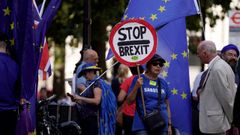 Activistas anti�brexit� se manifiestan en Westminster