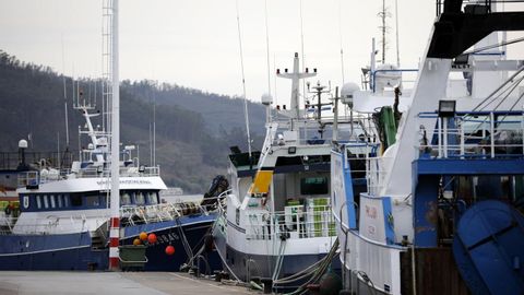 Barcos amarrados en el puerto de Celeiro