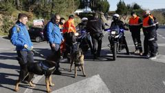 Retoman en Barbad�s la b�squeda de la ourensana desaparecida