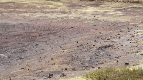 Bajo nivel en el embalse de San Xo�n, en Guitiriz