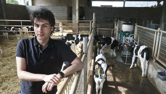Rico tamn se implica na explotacin de gando vacn que pertence  sa familia