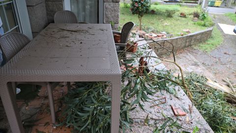 Un eucalipto de grandes dimensiones cay� sobre el tejado de una casa en Ribadumia provocando grandes desperfectos