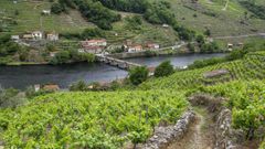 Tramo del Camino de Invierno, a su paso por la Ribeira Sacra, entre Diomondi y Belesar