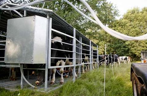 A sala de muxido port�til, en funcionamento nun prado en Ma�ente.