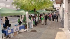 Paseo da Sa�de de Barbad�s.