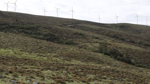 Montes donde suelen campar los lobos