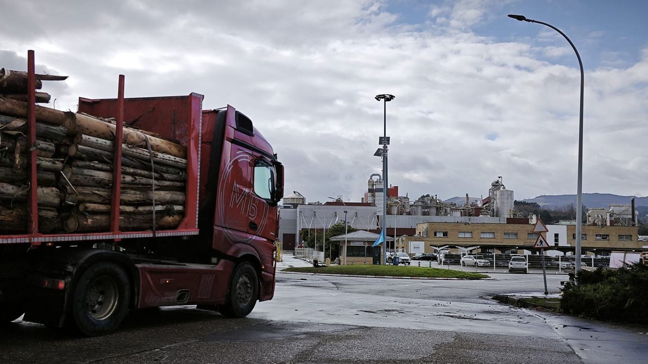 Ence recupera la actividad y vuelve a entrar la madera